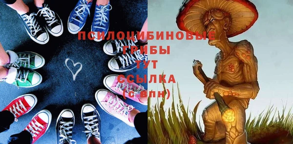 прущие крисы Белоозёрский