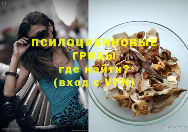 кокаин Белокуриха
