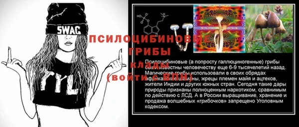 молекула духа Беломорск