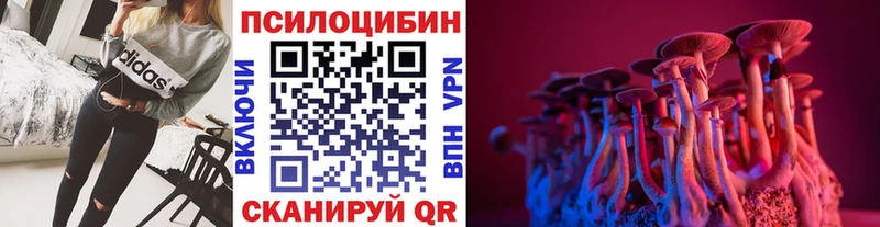 Галлюциногенные грибы Magic Shrooms  площадка телеграм  Будённовск  цены наркотик 