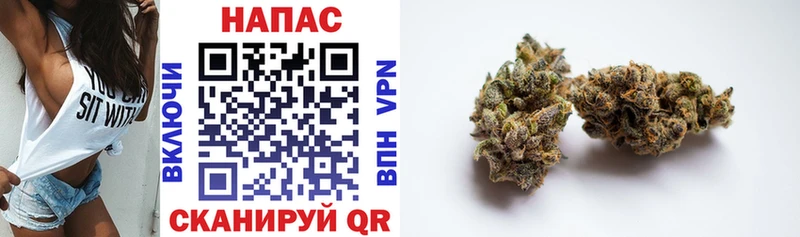 blacksprut ссылки  Будённовск  Шишки марихуана ГИДРОПОН 